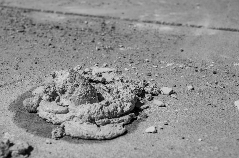 Storm Damage Restoration Service