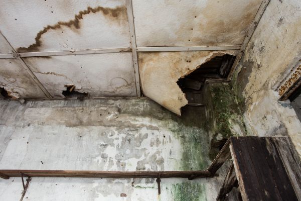 Water Damage Service in Magnolia