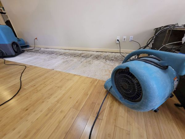 Water Damage Mitigation in Magnolia