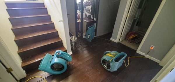 Water Damage Remediation in Magnolia