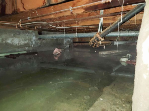 Water Mitigation Service in Magnolia