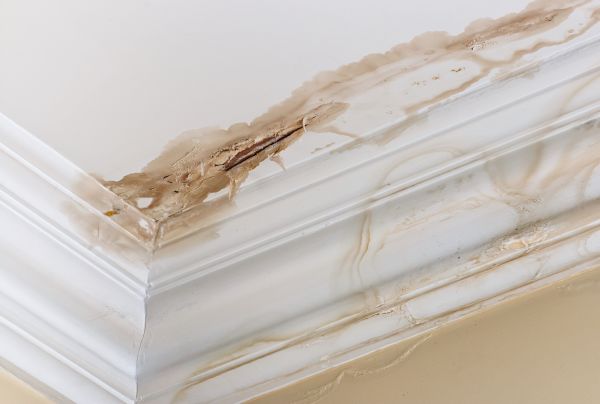 Water Damage Recovery in Magnolia