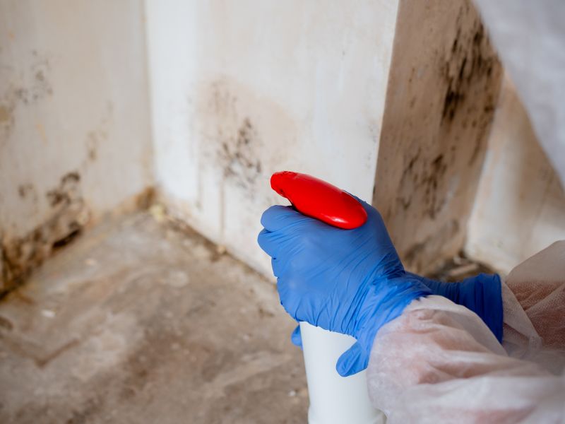 Mold Prevention After Water Damage